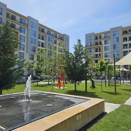 Elite Master Onix Blue Mamaia *